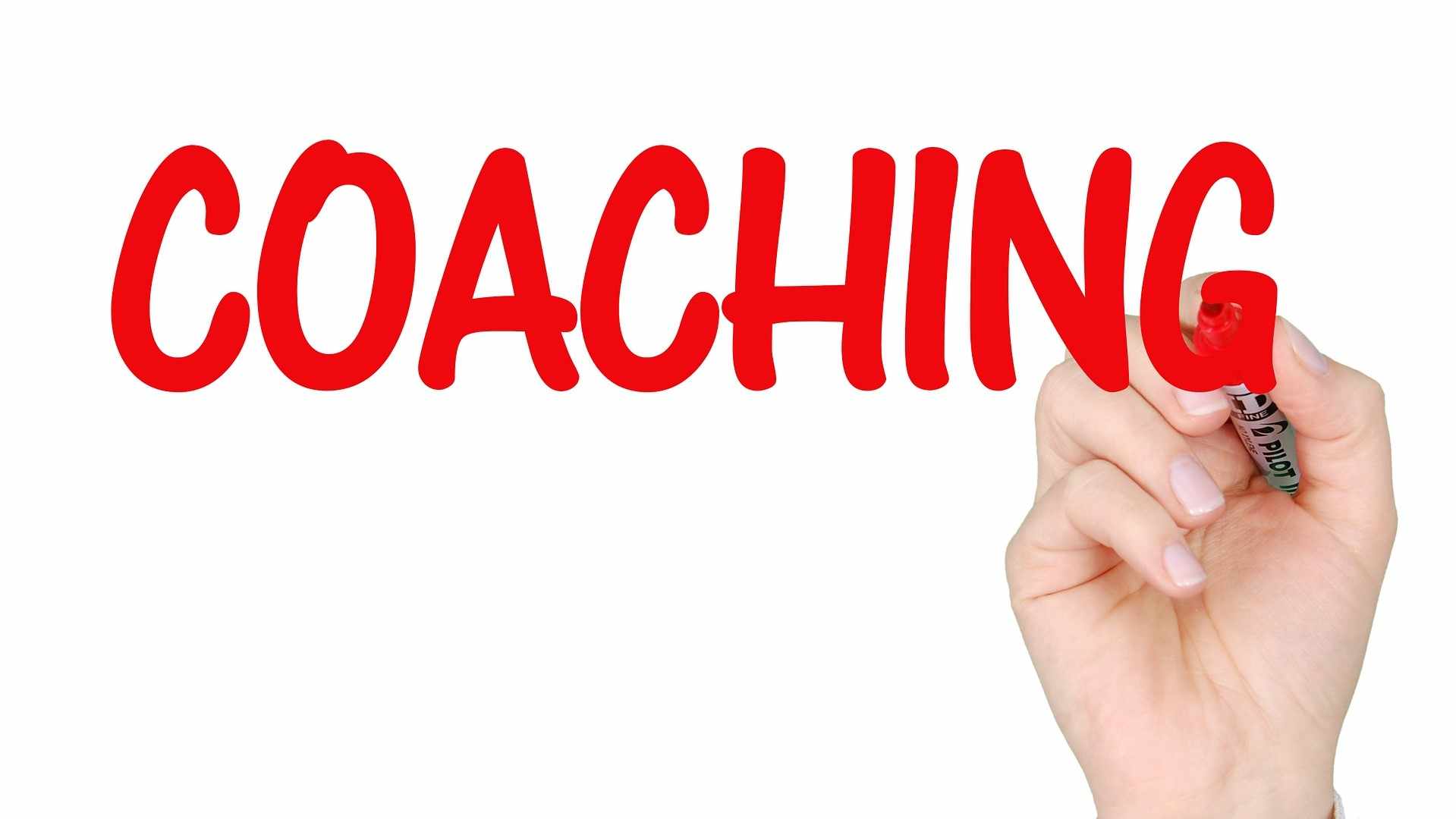 o coaching nas organizações