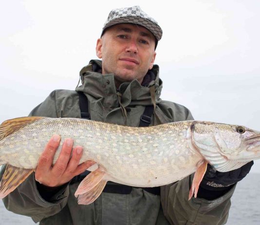 a pesca e os negócios