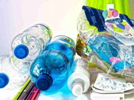 Programa de aceleração para a inovação na economia circular