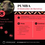 Rei-Leao-tipos-de-lideres-infografico8
