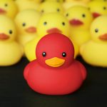 Closeup of rubber duckies