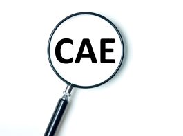 Como consultar o código CAE