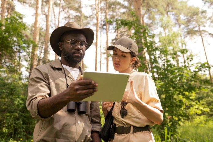 recolha de dados estatísticos é essencial para o turismo africano