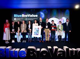 Ideação Blue Bio Value