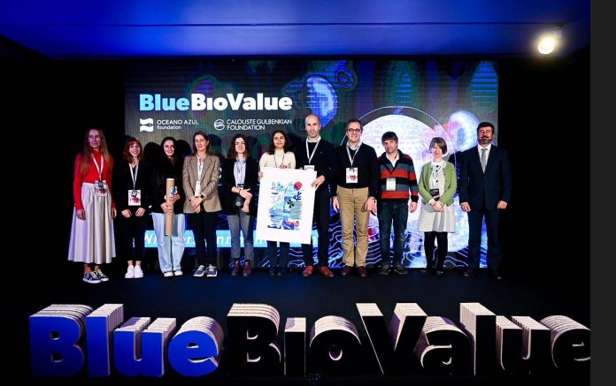 Ideação Blue Bio Value