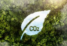 Hinojosa apresenta calculadora de pegada de carbono