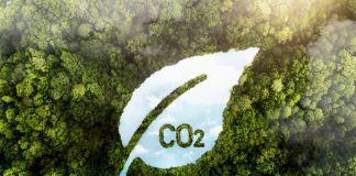 Hinojosa apresenta calculadora de pegada de carbono