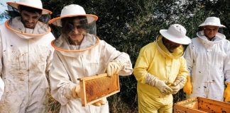 Projeto One Health Regenera para restaurar ecossistemas afetados pelos incêndios