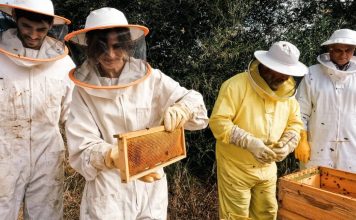 Projeto One Health Regenera para restaurar ecossistemas afetados pelos incêndios