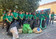 LEROY MERLIN recolhe mais de 11 toneladas de resíduos na Cleanup Week 2025