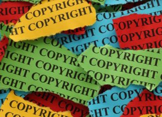 Dia do Domínio Público 2026: quando o património cultural se torna ativo económico