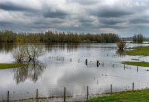 NERLEI cria apoio estratégico após tempestade Kristin